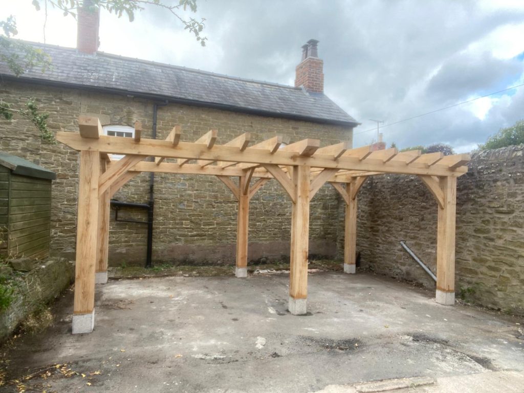 pergola with multiple use as carport